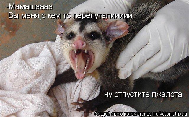 -Мамашаааа Вы меня с кем то перепуталиииии ну отпустите пжалста... Котоматрица: -Мамашаааа Вы меня с кем то перепуталиииии ну отпустите пжалста