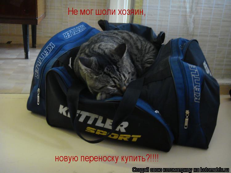 Не мог шоли хозяин, новую переноску купить?!!!!... Котоматрица: Не мог шоли хозяин, новую переноску купить?!!!!