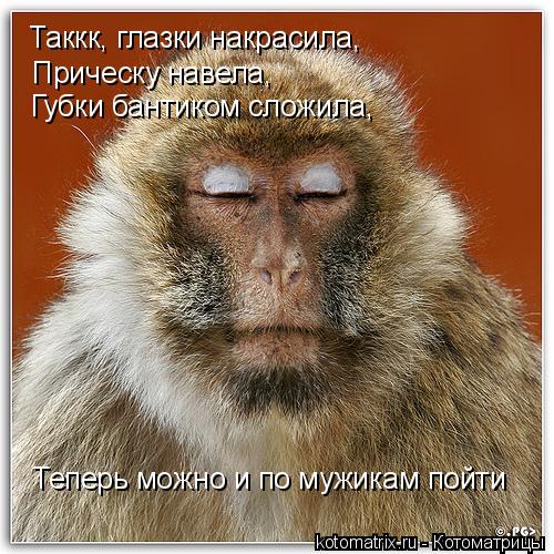 Таккк, глазки накрасила, Прическу навела, Губки бантиком сложила, Теперь можно и по мужикам пойти... Котоматрица: Таккк, глазки накрасила, Прическу навела, Губки бантиком сложила, Теперь можно и по мужикам пойти