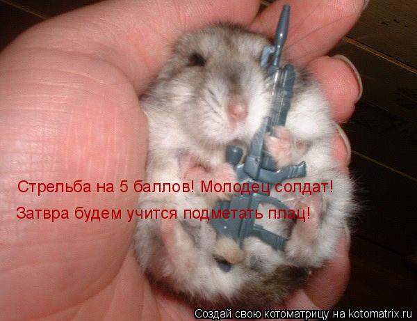 Стрельба на 5 баллов! Молодец солдат! Затвра будем учится подметать плац!... Котоматрица: Стрельба на 5 баллов! Молодец солдат! Затвра будем учится подметать плац!