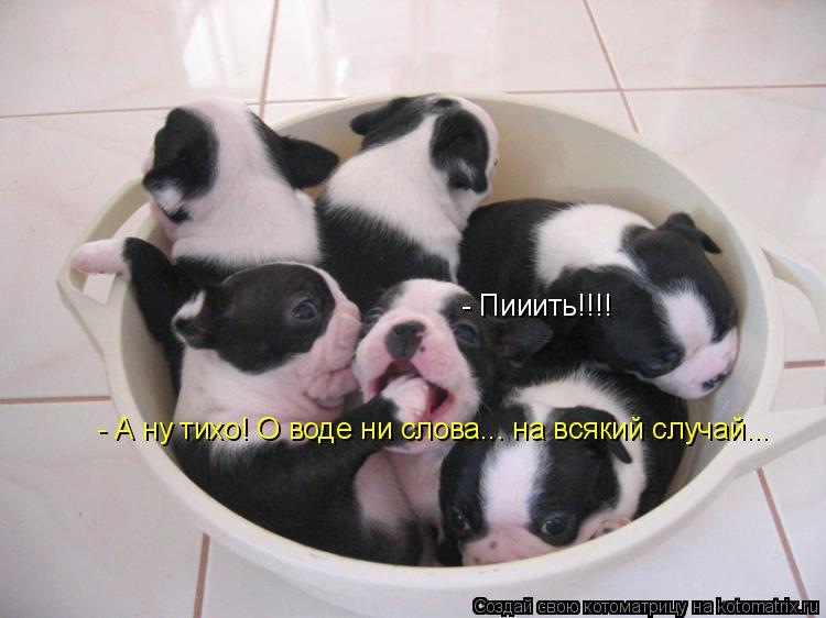 - Пииить!!!! - А ну тихо! О воде ни слова... на всякий случай...... Котоматрица: - Пииить!!!! - А ну тихо! О воде ни слова... на всякий случай...