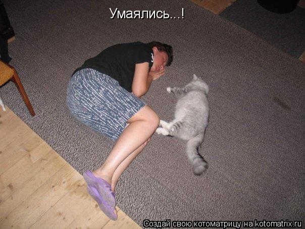 Умаялись...!... Котоматрица: Умаялись...!