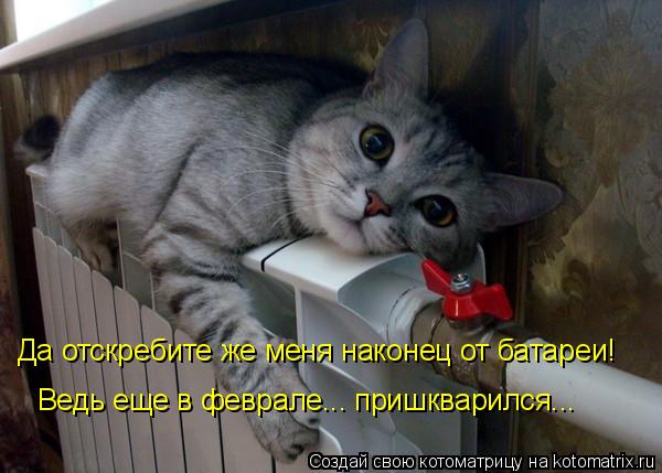 Да отскребите же меня наконец от батареи! Ведь еще в феврале... пришкварился...... Котоматрица: Да отскребите же меня наконец от батареи! Ведь еще в феврале... пришкварился...
