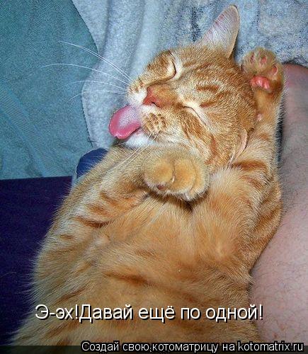 Э-эх!Давай ещё по одной!... Котоматрица: Э-эх!Давай ещё по одной!