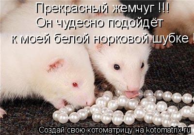 Прекрасный жемчуг !!! Он чудесно подойдёт к моей белой норковой шубке !!!... Котоматрица: Прекрасный жемчуг !!! Он чудесно подойдёт к моей белой норковой шубке !!!