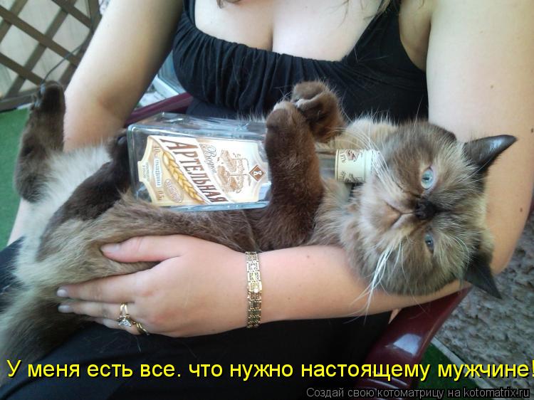 У меня есть все. что нужно настоящему мужчине!... Котоматрица: У меня есть все. что нужно настоящему мужчине!