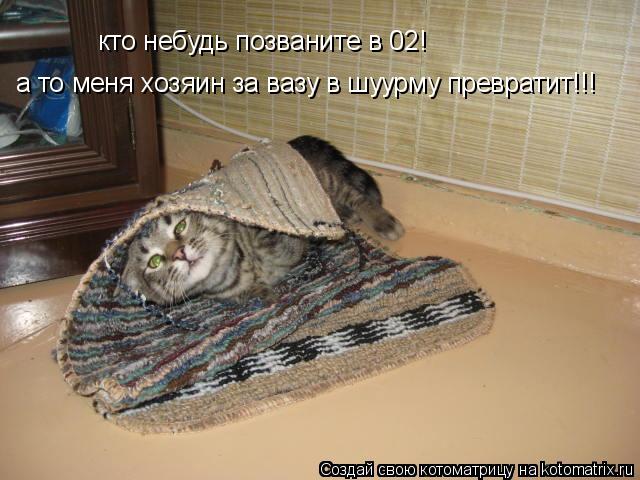 кто небудь позваните в 02! а то меня хозяин за вазу в шуурму превратит!!!... Котоматрица: кто небудь позваните в 02! а то меня хозяин за вазу в шуурму превратит!!!