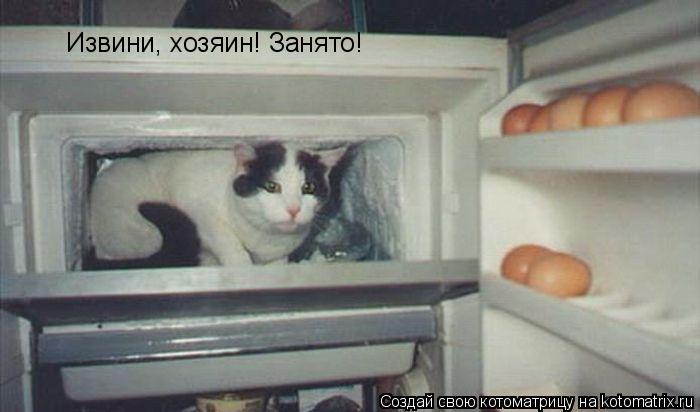 Извини, хозяин! Занято!... Котоматрица: Извини, хозяин! Занято!