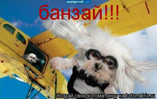 банзай!!!... Котоматрица: банзай!!!