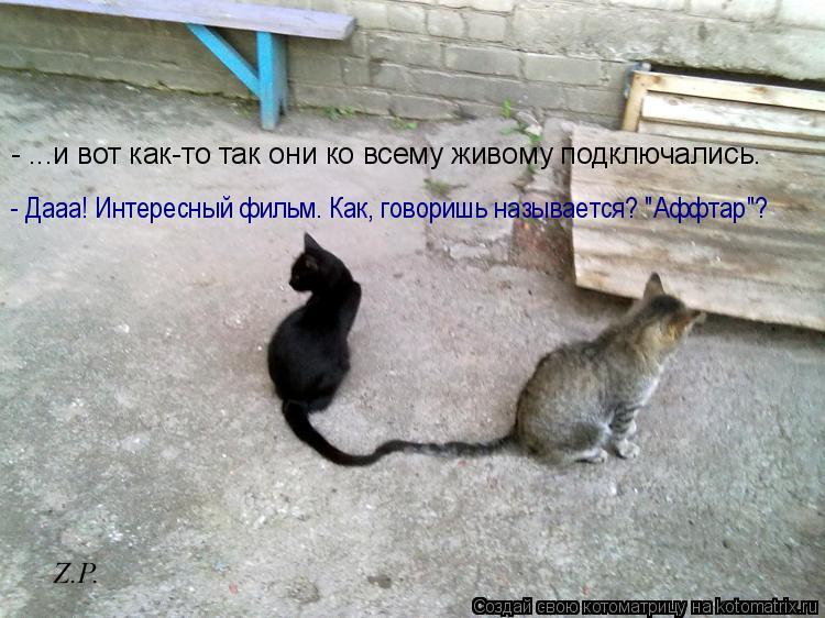 - ...и вот как-то так они ко всему живому подключались. - Дааа! Интересный фильм. Как, говоришь назыв... Котоматрица: - ...и вот как-то так они ко всему живому подключались. - Дааа! Интересный фильм. Как, говоришь называется? "Аффтар"?