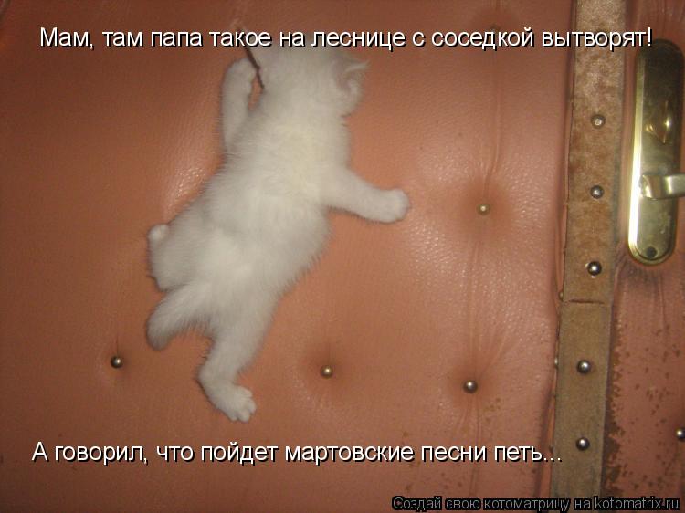 А говорил, что пойдет мартовские песни петь... Мам, там папа такое на леснице с соседкой вытворят!... Котоматрица: А говорил, что пойдет мартовские песни петь... Мам, там папа такое на леснице с соседкой вытворят!