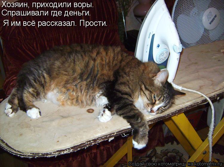 Хозяин, приходили воры. Спрашивали где деньги. Я им всё рассказал. Прости.... Котоматрица: Хозяин, приходили воры. Спрашивали где деньги. Я им всё рассказал. Прости.