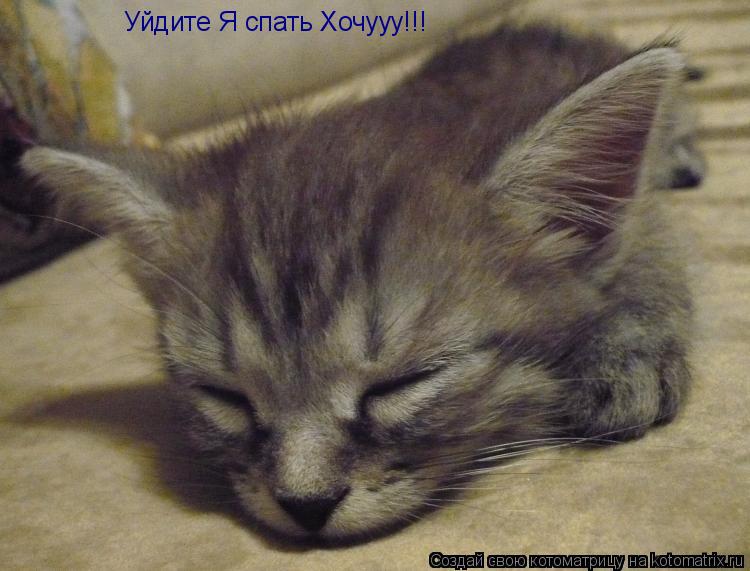 Уйдите Я спать Хочууу!!!... Котоматрица: Уйдите Я спать Хочууу!!!