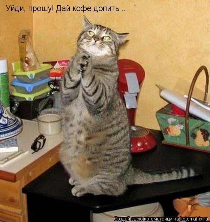 Уйди, прошу! Дай кофе допить...... Котоматрица: Уйди, прошу! Дай кофе допить...