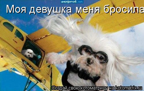 Моя девушка меня бросила... Котоматрица: Моя девушка меня бросила
