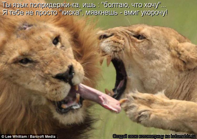 Ты язык попридержи-ка, ишь : "болтаю, что хочу"... Я тебе не просто "киска", мявкнешь - вмиг укорочу!... Котоматрица: Ты язык попридержи-ка, ишь : "болтаю, что хочу"... Я тебе не просто "киска", мявкнешь - вмиг укорочу!