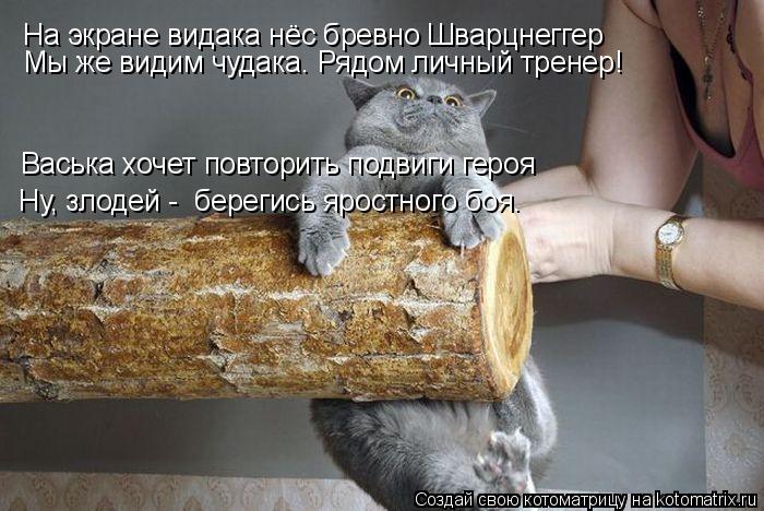 На экране видака нёс бревно Шварцнеггер Мы же видим чудака. Рядом личный тренер! Васька хочет повтори... Котоматрица: На экране видака нёс бревно Шварцнеггер Мы же видим чудака. Рядом личный тренер! Васька хочет повторить подвиги героя Ну, злодей - берегись