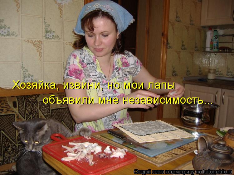 Хозяйка, извини, но мои лапы объявили мне независимость...... Котоматрица: Хозяйка, извини, но мои лапы объявили мне независимость...