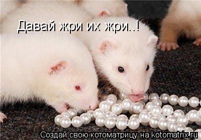 Давай жри их жри..!... Котоматрица: Давай жри их жри..!