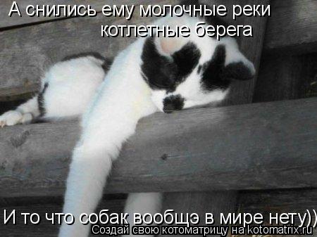 А снились ему молочные реки котлетные берега И то что собак вообщэ в мире нету)))... Котоматрица: А снились ему молочные реки котлетные берега И то что собак вообщэ в мире нету)))
