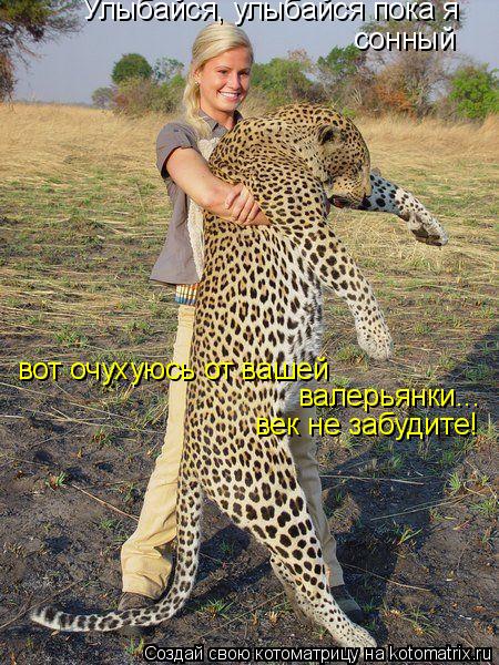 Улыбайся, улыбайся пока я сонный вот очухуюсь от вашей валерьянки... век не забудите!... Котоматрица: Улыбайся, улыбайся пока я сонный вот очухуюсь от вашей валерьянки... век не забудите!