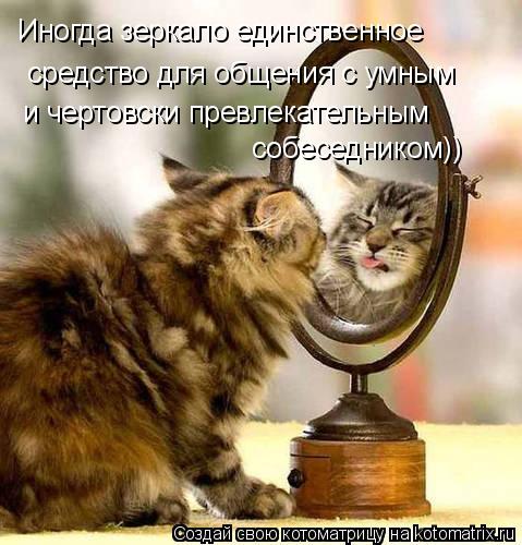 Иногда зеркало единственное средство для общения с умным и чертовски превлекательным собеседником))... Котоматрица: Иногда зеркало единственное средство для общения с умным и чертовски превлекательным собеседником))