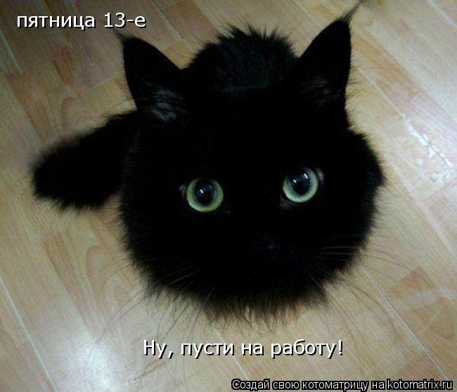 пятница 13-е Ну, пусти на работу!... Котоматрица: пятница 13-е Ну, пусти на работу!