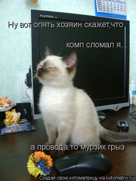 Ну вот опять хозяин скажет,что комп сломал я... а провода,то мурзик грыз... Котоматрица: Ну вот опять хозяин скажет,что комп сломал я... а провода,то мурзик грыз