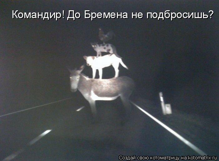 Командир! До Бремена не подбросишь?... Котоматрица: Командир! До Бремена не подбросишь?