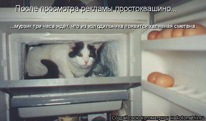 После просмотра рекламы простоквашино... ...мурзик три часа ждёт, что из холодильника появится халявн... Котоматрица: После просмотра рекламы простоквашино... ...мурзик три часа ждёт, что из холодильника появится халявная сметана.