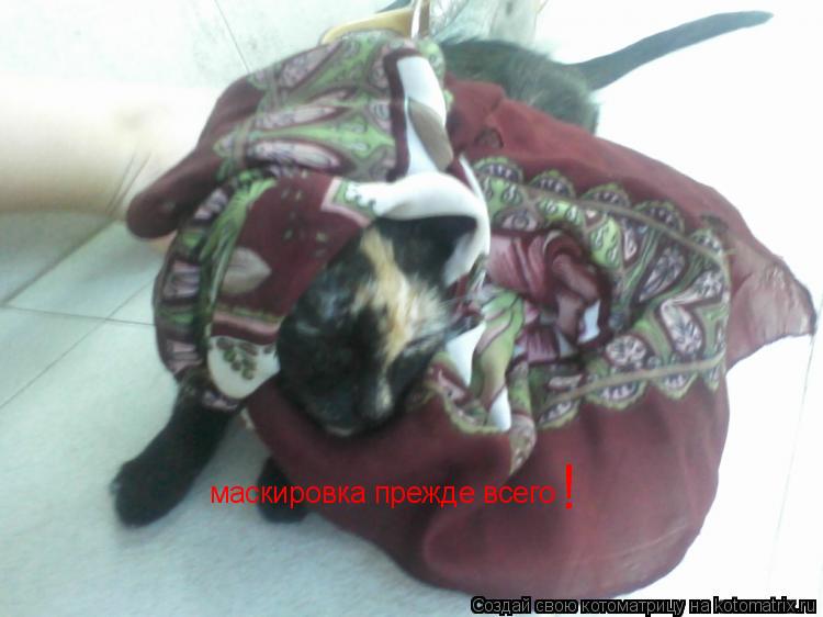 маскировка прежде всего !... Котоматрица: маскировка прежде всего !