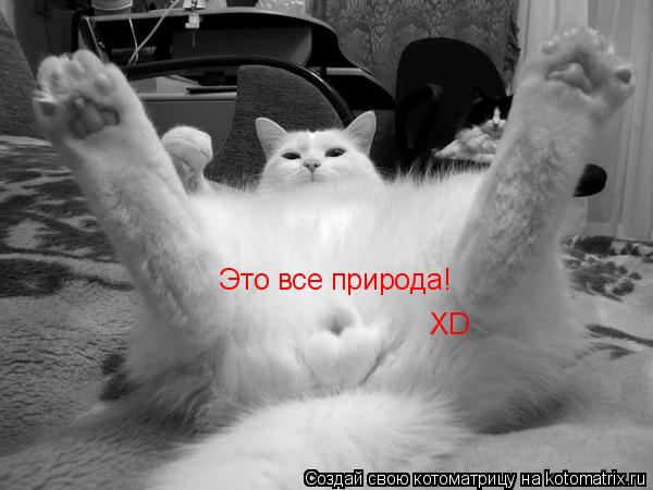 Это все природа! XD... Котоматрица: Это все природа! XD