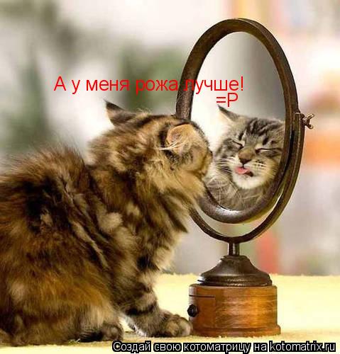 А у меня рожа лучше! =Р... Котоматрица: А у меня рожа лучше! =Р