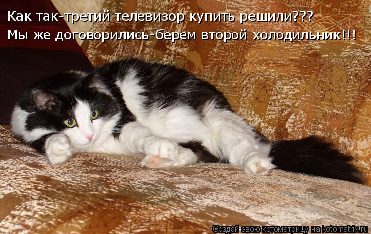 Как так-третий телевизор купить решили??? Мы же договорились-берем второй холодильник!!!... Котоматрица: Как так-третий телевизор купить решили??? Мы же договорились-берем второй холодильник!!!