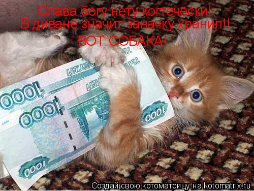 Слава богу нету когтечёски! В диване значит заначку хранил!! ВОТ СОБАКА!... Котоматрица: Слава богу нету когтечёски! В диване значит заначку хранил!! ВОТ СОБАКА!