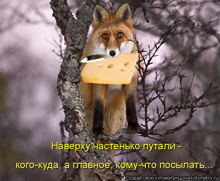 Наверху частенько путали - кого-куда, а главное, кому-что посылать...... Котоматрица: Наверху частенько путали - кого-куда, а главное, кому-что посылать...