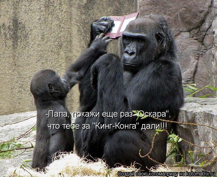 что тебе за "Кинг-Конга" дали!!! -Папа, покажи еще раз "Оскара",... Котоматрица: что тебе за "Кинг-Конга" дали!!! -Папа, покажи еще раз "Оскара",