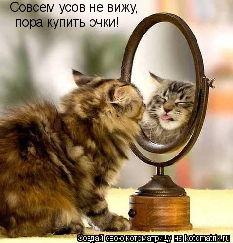 Совсем усов не вижу, пора купить очки!... Котоматрица: Совсем усов не вижу, пора купить очки!