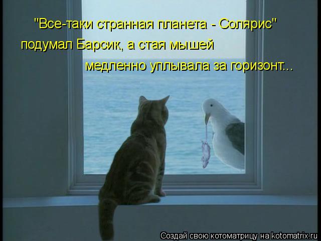 "Все-таки странная планета - Солярис" подумал Барсик, а стая мышей медленно уплывала за горизонт...... Котоматрица: "Все-таки странная планета - Солярис" подумал Барсик, а стая мышей медленно уплывала за горизонт...