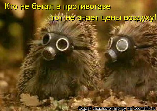 Кто не бегал в противогазе тот не знает цены воздуху!... Котоматрица: Кто не бегал в противогазе тот не знает цены воздуху!