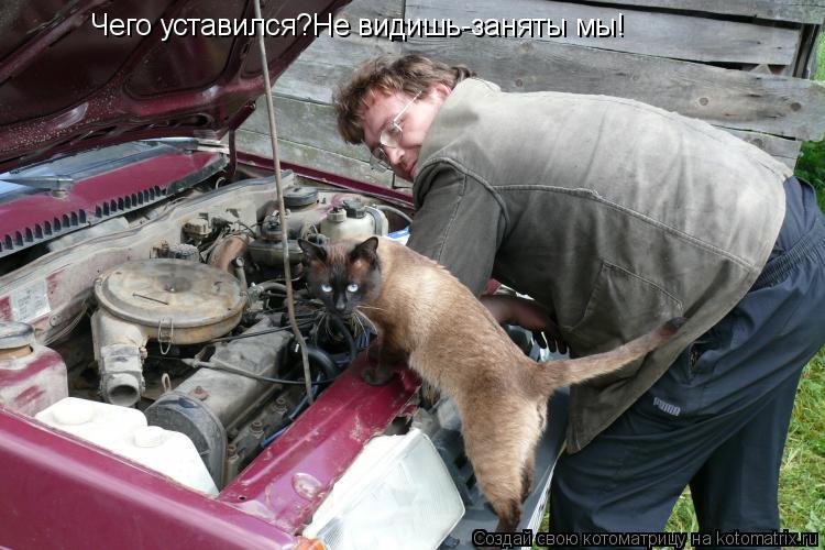 Чего уставился?Не видишь-заняты мы!... Котоматрица: Чего уставился?Не видишь-заняты мы!