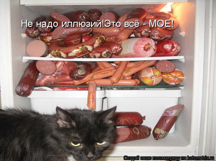 Не надо иллюзий!Это всё - МОЕ!... Котоматрица: Не надо иллюзий!Это всё - МОЕ!