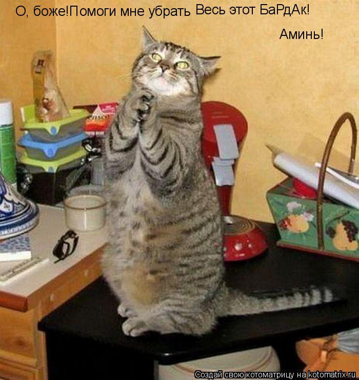 О, боже!Помоги мне убрать Весь этот БаРдАк! Аминь!... Котоматрица: О, боже!Помоги мне убрать Весь этот БаРдАк! Аминь!