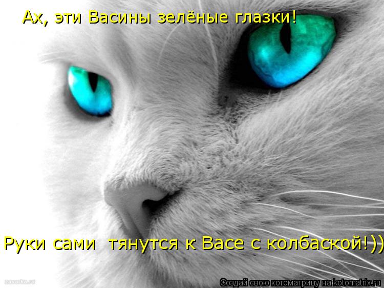 Ах, эти Васины зелёные глазки! Руки сами тянутся к Васе с колбаской!))... Котоматрица: Ах, эти Васины зелёные глазки! Руки сами тянутся к Васе с колбаской!))