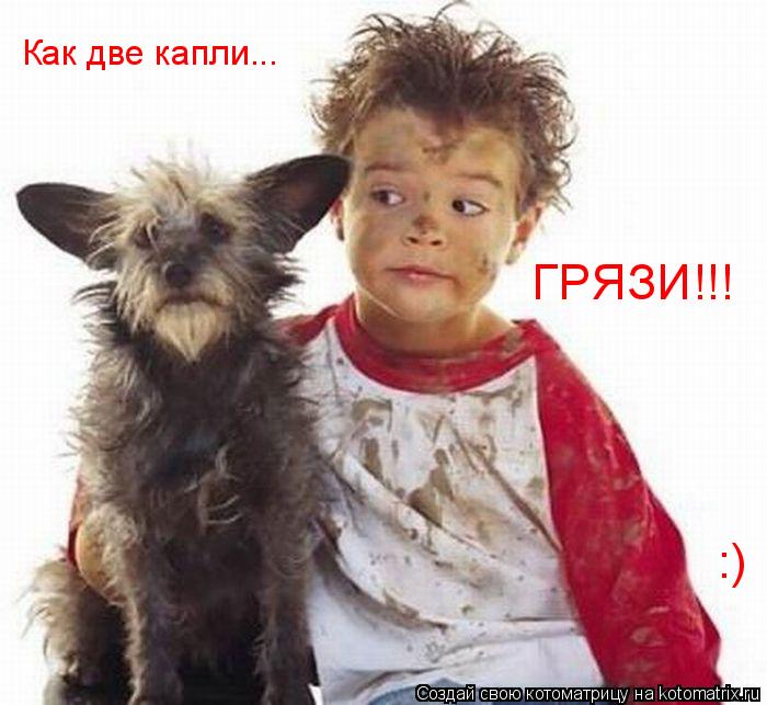 Как две капли... ГРЯЗИ!!! :)... Котоматрица: Как две капли... ГРЯЗИ!!! :)