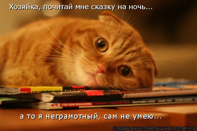 Хозяйка, почитай мне сказку на ночь... а то я неграмотный, сам не умею...... Котоматрица: Хозяйка, почитай мне сказку на ночь... а то я неграмотный, сам не умею...