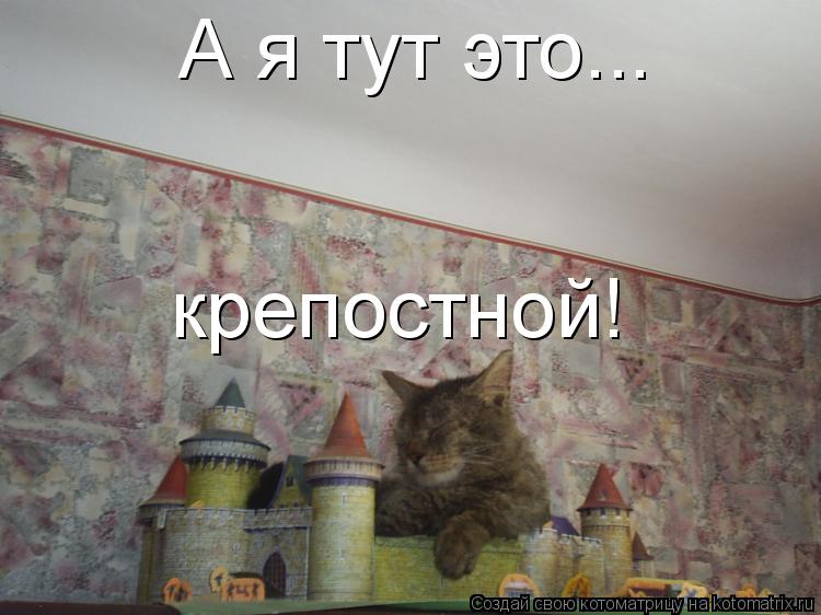 А я тут это... крепостной!... Котоматрица: А я тут это... крепостной!