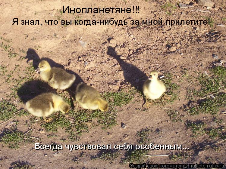 Я знал, что вы когда-нибудь за мной прилетите! Всегда чувствовал себя особенным... Инопланетяне!!!... Котоматрица: Я знал, что вы когда-нибудь за мной прилетите! Всегда чувствовал себя особенным... Инопланетяне!!!