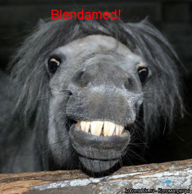 Blendamed!... Котоматрица: Blendamed!