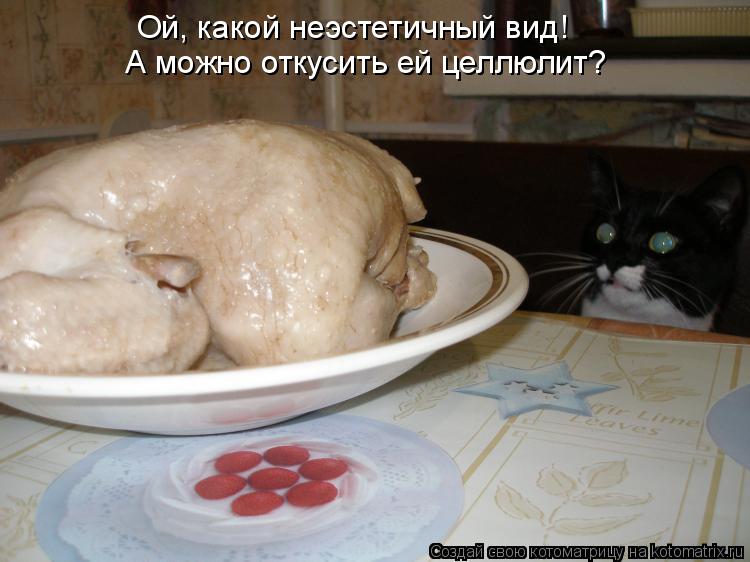 Ой, какой неэстетичный вид! А можно откусить ей целлюлит?... Котоматрица: Ой, какой неэстетичный вид! А можно откусить ей целлюлит?